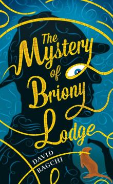 The Mystery of Briony Lodge Read online