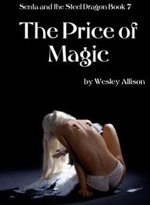 The Price of Magic Read online