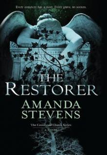 The Restorer tgqs-1 Read online