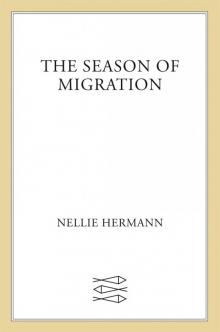 The Season of Migration Read online