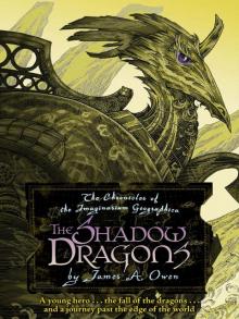 The Shadow Dragons Read online