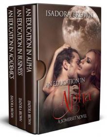 The Somerset Series: A Box Set: Books 2-4 Read online