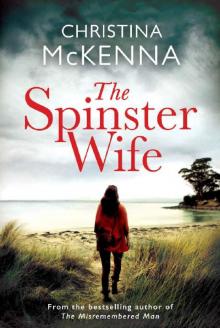 The Spinster Wife Read online