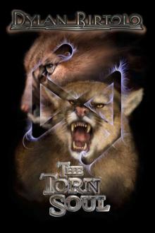 The Torn Soul (The Sheynan Trilogy Book 3) Read online