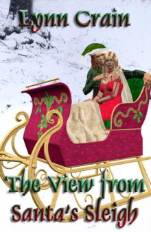 The View From Santa's Sleigh Read online