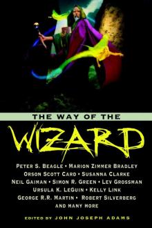 The Way of the Wizard Read online