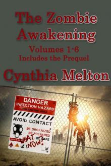 The Zombie Awakening (Complete 6 Volume Series, plus prologue)