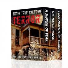 Three True Tales of Terror: A True Hauntings' Collection