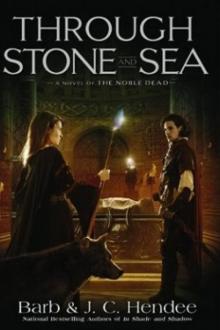 Through Stone and Sea ndst-2 Read online