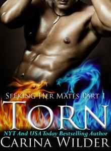 Torn: A Dragon Shifter BBW Menage Serial (Seeking Her Mates Book 1) Read online