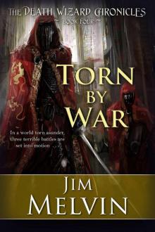 Torn By War: 4 (The Death Wizard Chronicles) Read online