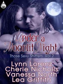 Under a Moonlit Night Read online
