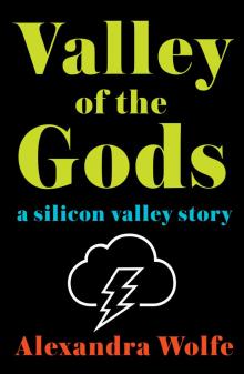 Valley of the Gods Read online