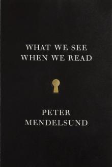 What We See When We Read (9780804171649)