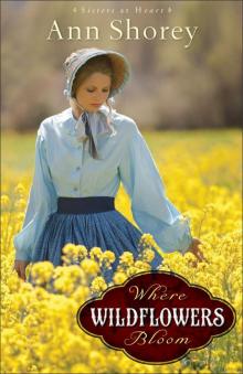 Where Wildflowers Bloom: A Novel (Sisters at Heart) Read online