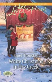 White Christmas in Dry Creek Read online