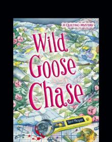 Wild Goose Chase Read online