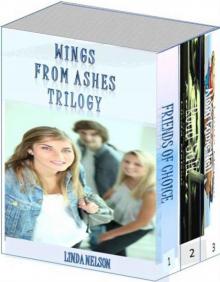 Wings From Ashes Trilogy Read online