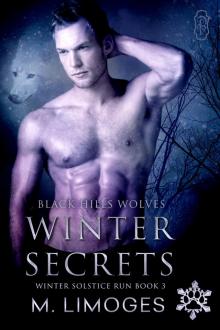 Winter Secrets Read online