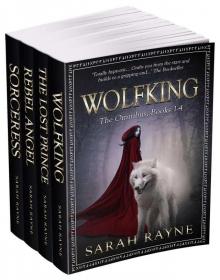 Wolfking The Omnibus: Books 1-4 Read online