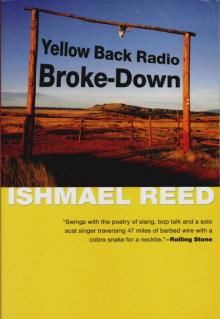 Yellow Back Radio Broke-Down Read online