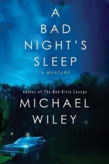 A Bad Night's Sleep Read online