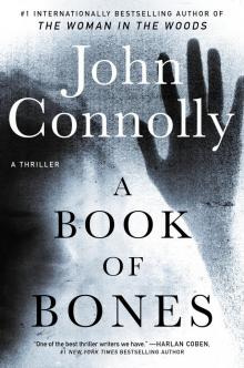 A Book of Bones Read online