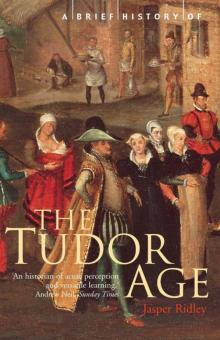 A Brief History of the Tudor Age Read online