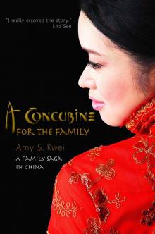 A Concubine for the Family: A Family Saga in China Read online