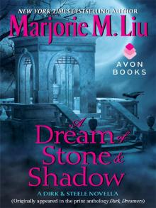 A Dream of Stone & Shadow Read online
