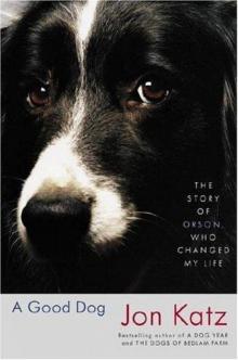 A Good Dog: The Story of Orson, Who Changed My Life Read online