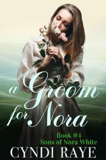 A Groom For Nora Read online