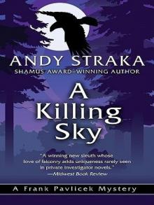 A Killing Sky Read online