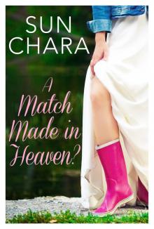 A Match Made in Heaven? Read online