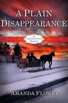 A Plain Disappearance Read online