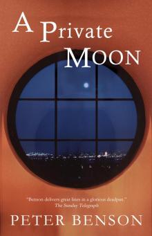 A Private Moon Read online