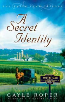 A Secret Identity (The Amish Farm Trilogy 2) Read online