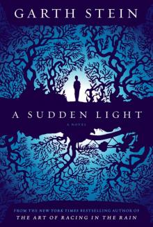 A Sudden Light: A Novel Read online