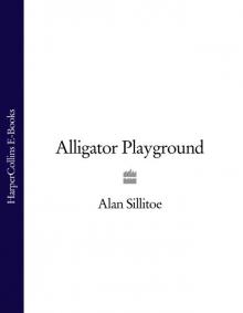 Alligator Playground Read online