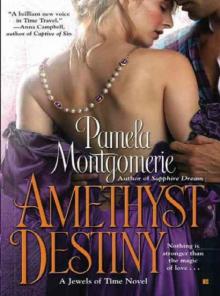 Amethyst Destiny Read online