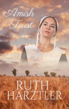 Amish Trust Read online