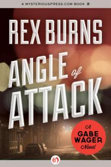 Angle of Attack Read online