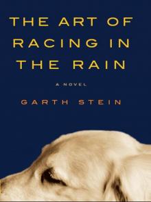 Art of Racing in the Rain, The Read online