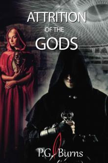 Attrition of the Gods: Book 1 of the Mystery Thriller series Gods Toys. Read online