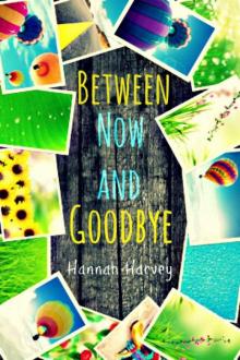 Between Now and Goodbye Read online