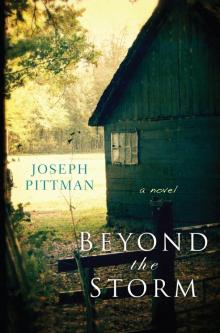 Beyond the Storm (9780758276995) Read online