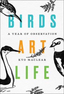 Birds Art Life Read online
