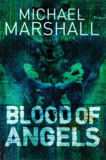 Blood of Angels Read online