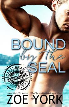 Bound by the SEAL (ASSIGNMENT: Caribbean Nights Book 5)