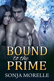 Bound to the Prime (Bound to the Pack, #3)